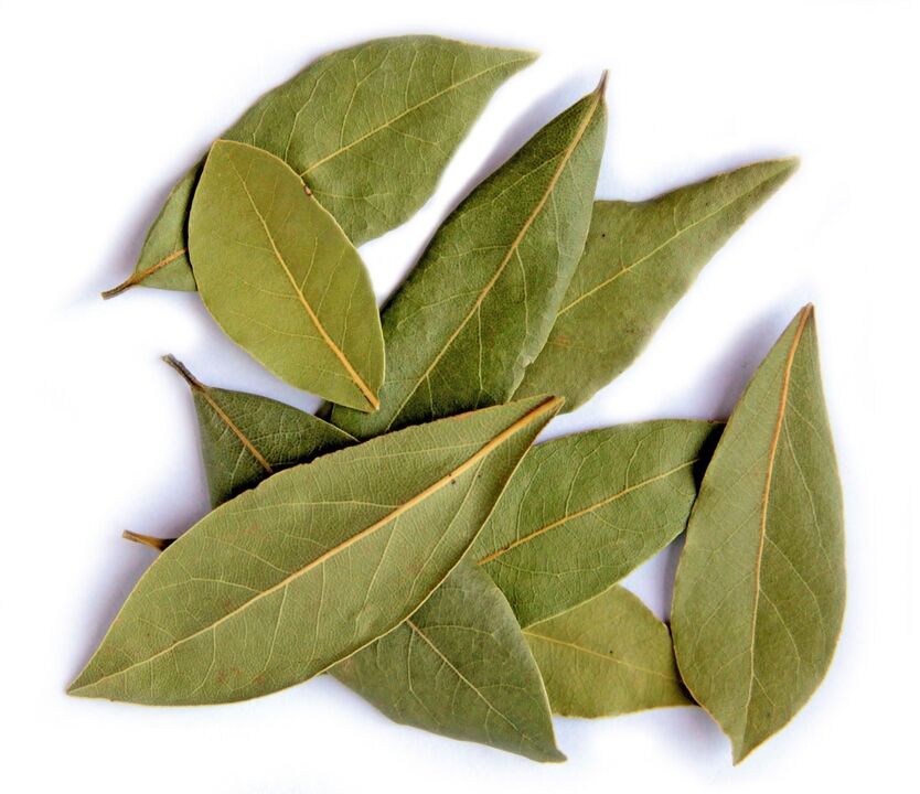 Bay leaf extract in Welltone