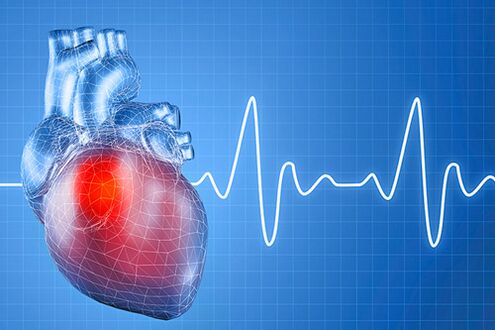 Hypertension, which has many causes, provokes disturbances in the functioning of the heart. 